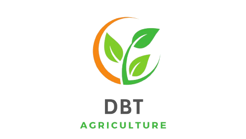 EARN DBT